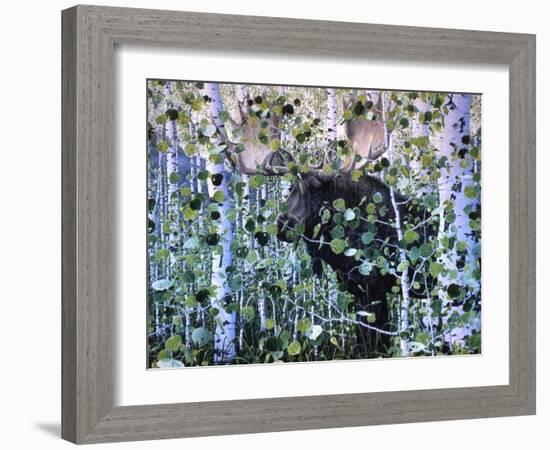 Moose-Jeff Tift-Framed Giclee Print