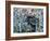 Moose-Jeff Tift-Framed Giclee Print