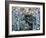 Moose-Jeff Tift-Framed Giclee Print