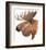 Moose-Jeannine Saylor-Framed Art Print