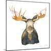 Moose-Kathy Ferguson-Mounted Art Print