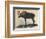 Moose-null-Framed Art Print