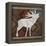 Moose-Erin Clark-Framed Premier Image Canvas