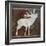 Moose-Erin Clark-Framed Giclee Print