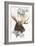 Moose-Barbara Keith-Framed Giclee Print