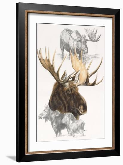 Moose-Barbara Keith-Framed Giclee Print