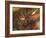 Moose-Dan Sproul-Framed Photo