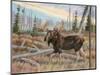Moose-Ron Jenkins-Mounted Art Print