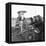 Moped in the 1950S (B/W Photo)-null-Framed Premier Image Canvas