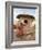 Mopti, A Bobo Man Beside His Millet Granary at a Bobo Village Near Mopti, Mali-Nigel Pavitt-Framed Photographic Print