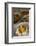 Moqueca Dish, Salvador (Salvador de Bahia), Bahia, Brazil, South America-Yadid Levy-Framed Photographic Print