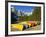 Moraine Lake and Rental Canoes Stacked, Banff National Park, Alberta, Canada-Larry Ditto-Framed Photographic Print