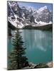 Moraine Lake with Mountains That Overlook Valley of the Ten Peaks, Banff National Park, Canada-Tony Waltham-Mounted Photographic Print