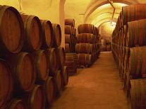 Barrels in Wine Cellar, Badia a Passignano Cave Antinos, Chianti, Tuscany, Italy, Europe-Morandi Bruno-Photographic Print