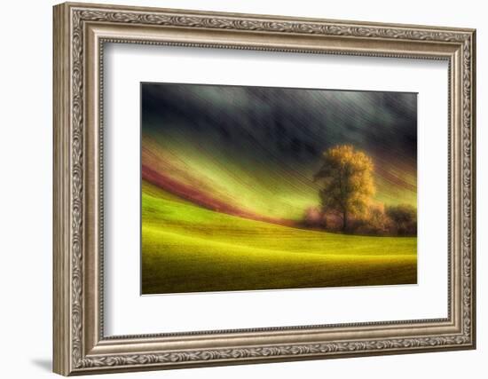 Moravian fields-Piotr Krol (Bax)-Framed Photographic Print