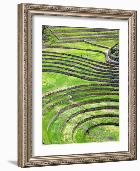 Moray, Archaeological Site, Cuzco, Peru-Ivan Vdovin-Framed Photographic Print