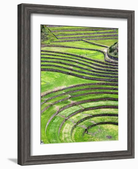 Moray, Archaeological Site, Cuzco, Peru-Ivan Vdovin-Framed Photographic Print