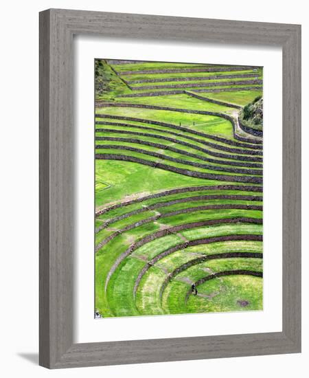 Moray, Archaeological Site, Cuzco, Peru-Ivan Vdovin-Framed Photographic Print