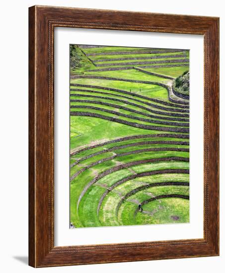 Moray, Archaeological Site, Cuzco, Peru-Ivan Vdovin-Framed Photographic Print