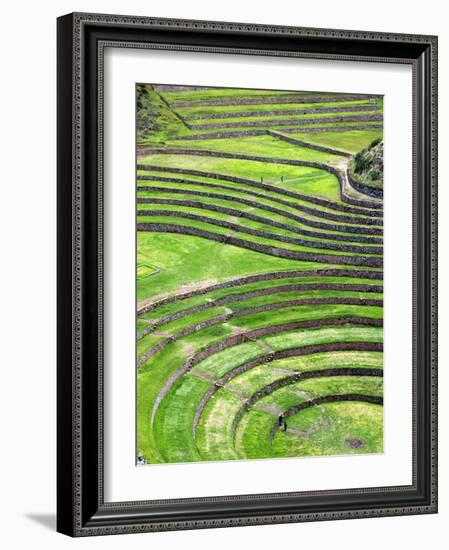 Moray, Archaeological Site, Cuzco, Peru-Ivan Vdovin-Framed Photographic Print