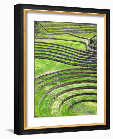 Moray, Archaeological Site, Cuzco, Peru-Ivan Vdovin-Framed Photographic Print