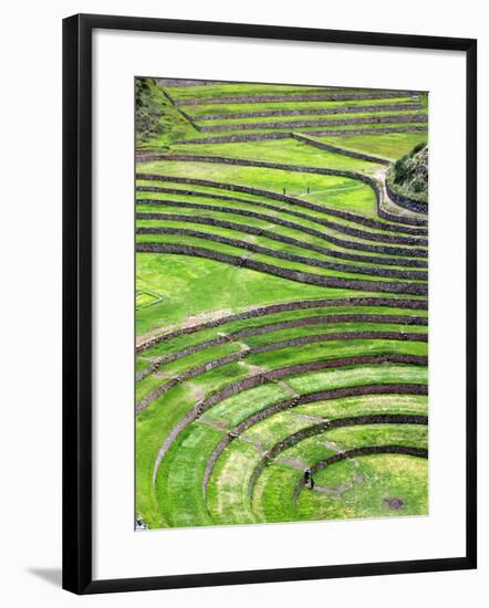 Moray, Archaeological Site, Cuzco, Peru-Ivan Vdovin-Framed Photographic Print