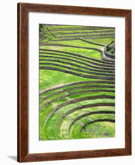 Moray, Archaeological Site, Cuzco, Peru-Ivan Vdovin-Framed Photographic Print