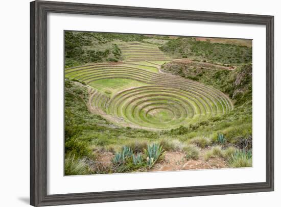 Moray Incan agricultural laboratory ruins, Sacred Valley, Peru.-Michael DeFreitas-Framed Photographic Print