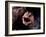 Moray-null-Framed Photographic Print