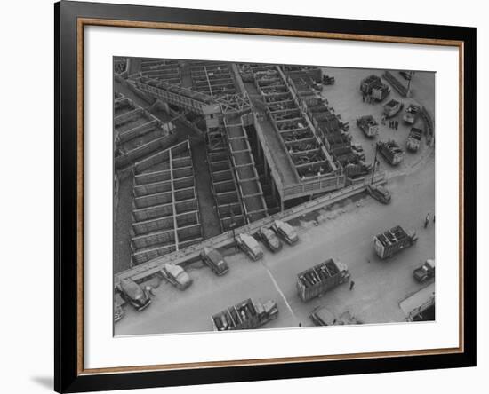 More Cattle Arriving at an Already Overcrowded Stockyard--Framed Photographic Print