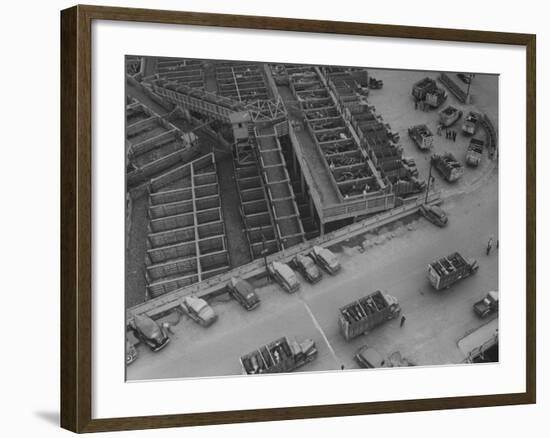 More Cattle Arriving at an Already Overcrowded Stockyard-null-Framed Photographic Print