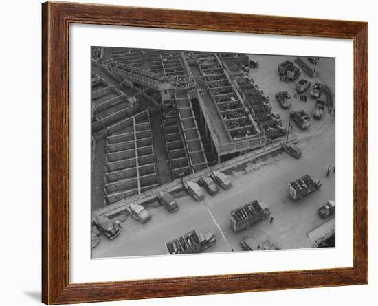 More Cattle Arriving at an Already Overcrowded Stockyard-null-Framed Photographic Print