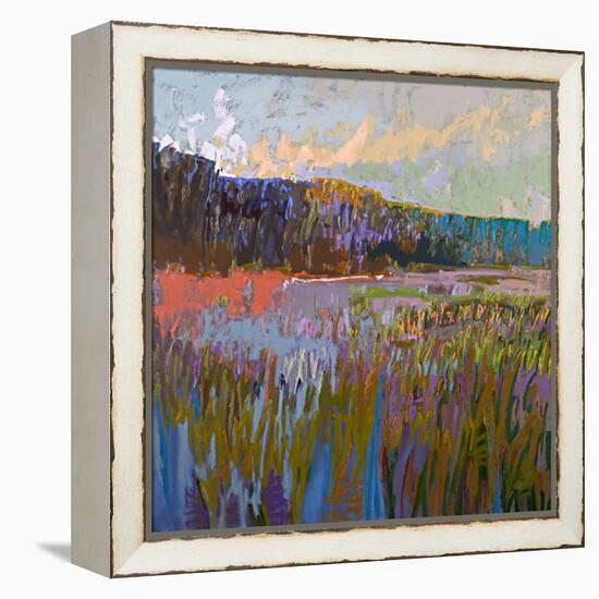 More than the Eye Can See-Jane Schmidt-Framed Stretched Canvas