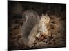 More Than You Can Chew Squirrel-Jai Johnson-Mounted Giclee Print