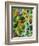 Morea Garden-Kim Parker-Framed Giclee Print