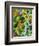 Morea Garden-Kim Parker-Framed Giclee Print