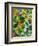 Morea Garden-Kim Parker-Framed Giclee Print