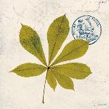Jade Forest Leaf 3-Morgan Yamada-Art Print