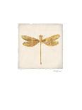 Luxe Hummingbird-Morgan Yamada-Premium Giclee Print