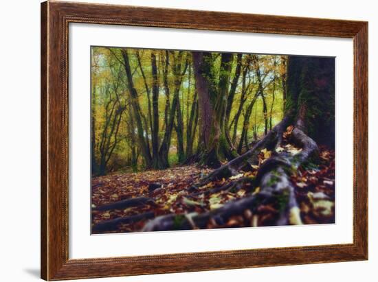 Morgane's Hands-Viviane Fedieu Daniel-Framed Photographic Print