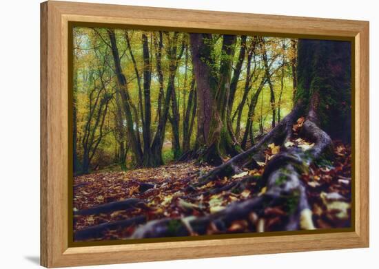 Morgane's Hands-Viviane Fedieu Daniel-Framed Premier Image Canvas