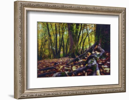 Morgane's Hands-Viviane Fedieu Daniel-Framed Photographic Print