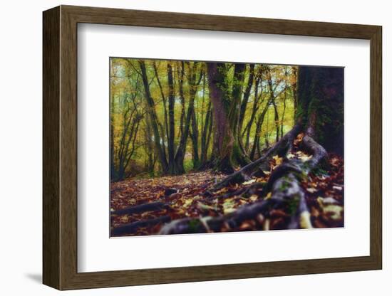 Morgane's Hands-Viviane Fedieu Daniel-Framed Photographic Print