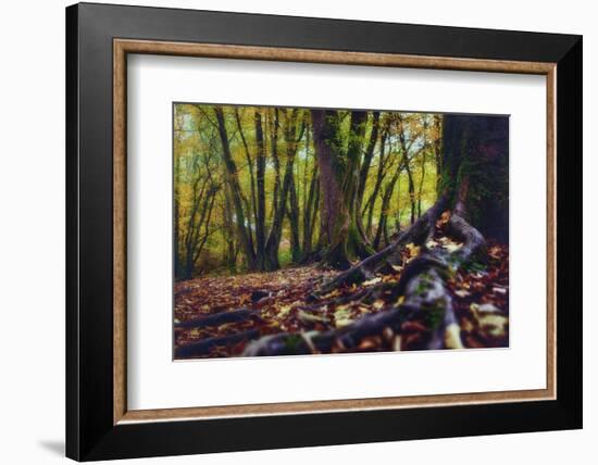 Morgane's Hands-Viviane Fedieu Daniel-Framed Photographic Print