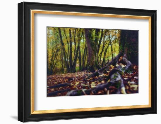 Morgane's Hands-Viviane Fedieu Daniel-Framed Photographic Print