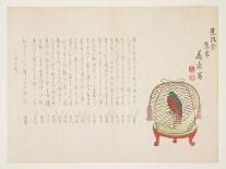 Parrot in a Cage, January 1864-Mori Gisho-Giclee Print