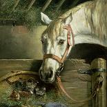 Horse and Kittens, 1890-Moritz Muller-Premier Image Canvas