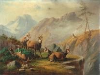 Landscape, 1870-Moritz Muller-Mounted Giclee Print