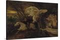 Stretched Canvas Print