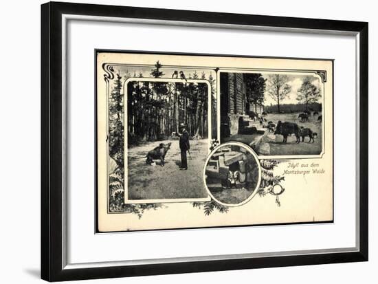 Moritzburg Sachsen, Idyll Auf Dem Wald, Wildschweine, Fuchs-null-Framed Giclee Print